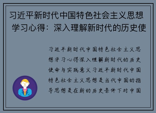 习近平新时代中国特色社会主义思想 学习心得：深入理解新时代的历史使命与实践意义